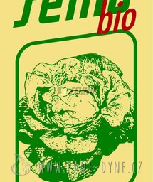 Osiva - Salát hlávkový BIO letní