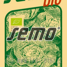 Osiva - Salát hlávkový celoroční Merkurion BIO