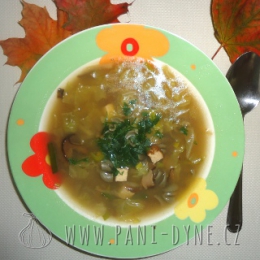 Kapustová polévka Zbytková